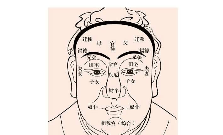 鼻子与面相学