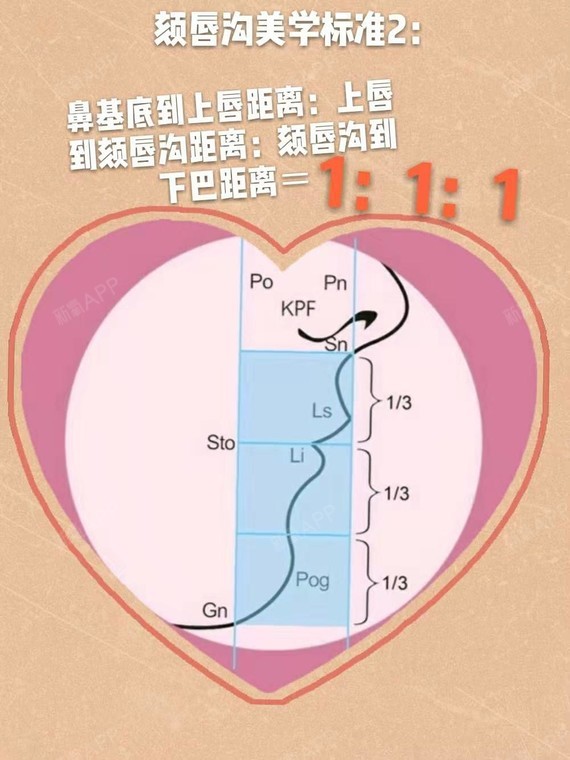 面部下庭美学标准:鼻唇角&颏唇沟