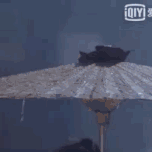 任嘉伦颜值分析,第二眼帅哥,有个大鼻子也可以成男神!