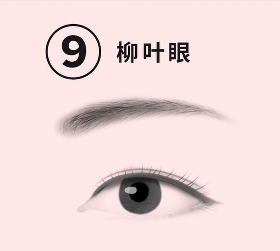 桃花眼,瑞凤眼,荔枝眼,柳叶眼,杏眼,哪一个是你的菜?