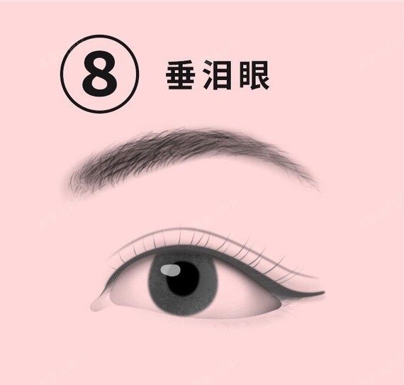 对号入座:你的眼睛属于什么眼型