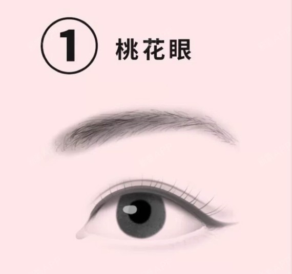 对号入座:你的眼睛属于什么眼型
