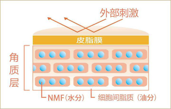 热玛吉原理和功效,能和水光补水同时做吗?