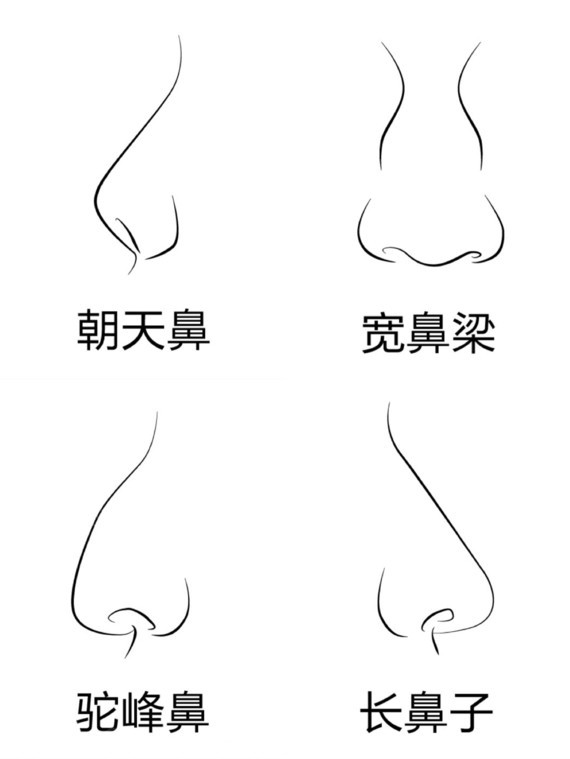对号入座,判断你是哪种鼻型每个人的鼻子类型与存在