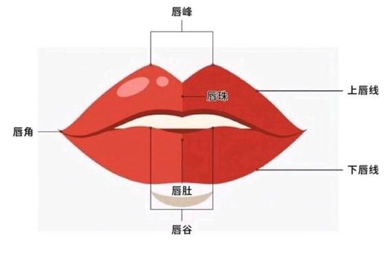 好看的唇形都是怎样定义的 美轮美奂的唇形多种多样
