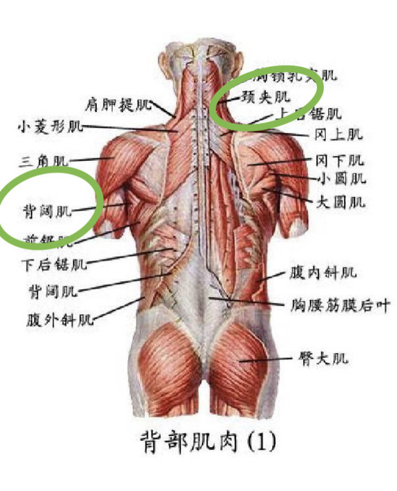 有什么痛点?(下)