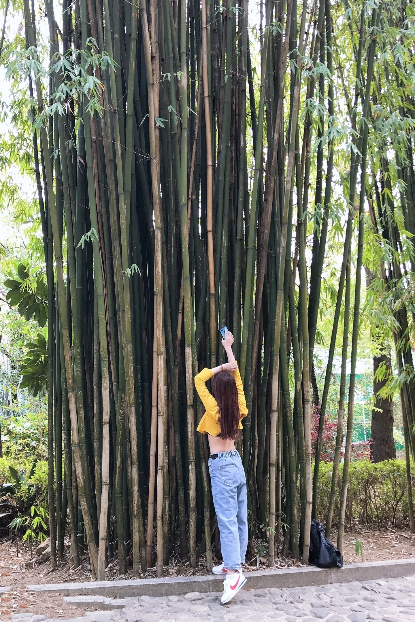 美丽的甜言的美丽日记