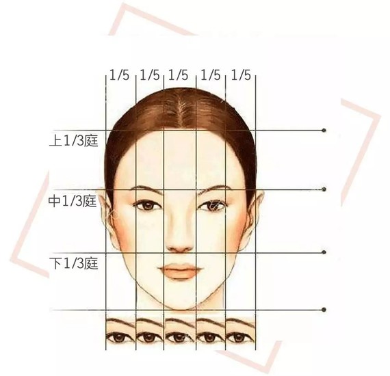 五官协调性 根据 三庭五眼"美学标准 衡量眼睛在面部整体中的比例