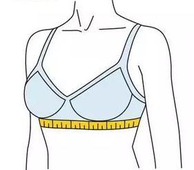 水平围绕胸部乳房底部一周的长度,即为你的胸部下围尺寸.
