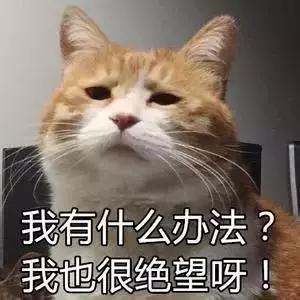 眼袋都快掉地上了,你还置之不理吗?