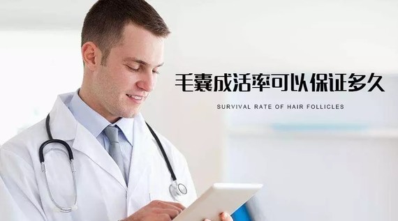 植发后毛囊成活率是多少?植发一年后的毛囊成