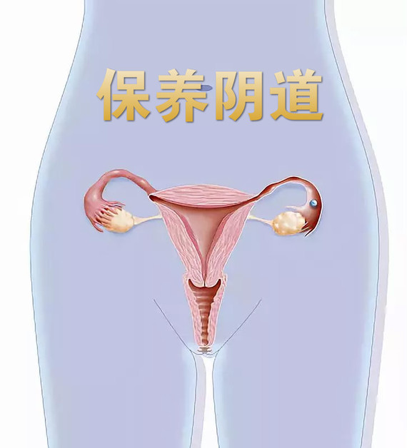 【保养阴道小妙招】阴道是女性私处最重要的器官之一