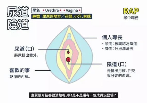 图解揭秘|女性私密处长什么样子?女人的私处是个神秘