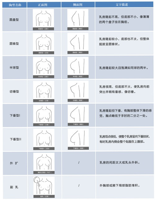 胸部多大最合适,什么胸型最好看?