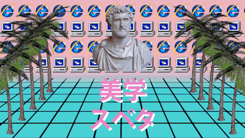 沙滩,棕榈树,海鸥和海豚.