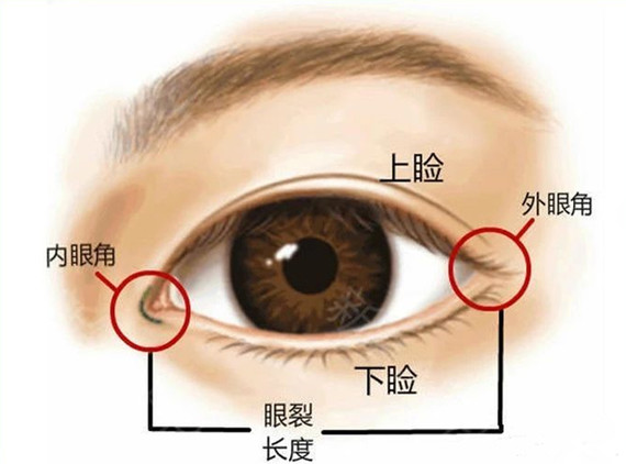 为什么选择重睑 内眦开大的眼整形术式设计