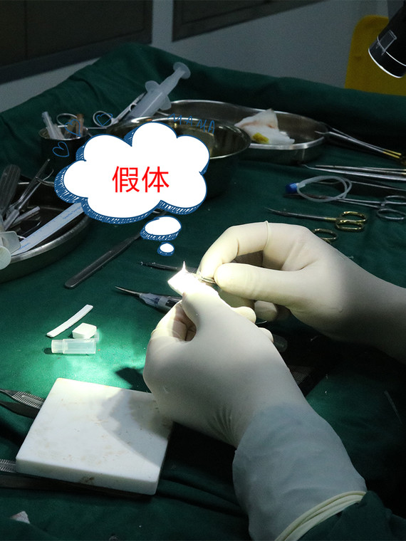 隆鼻假体主要分为两种, 一种是硅胶,另一种是膨体.