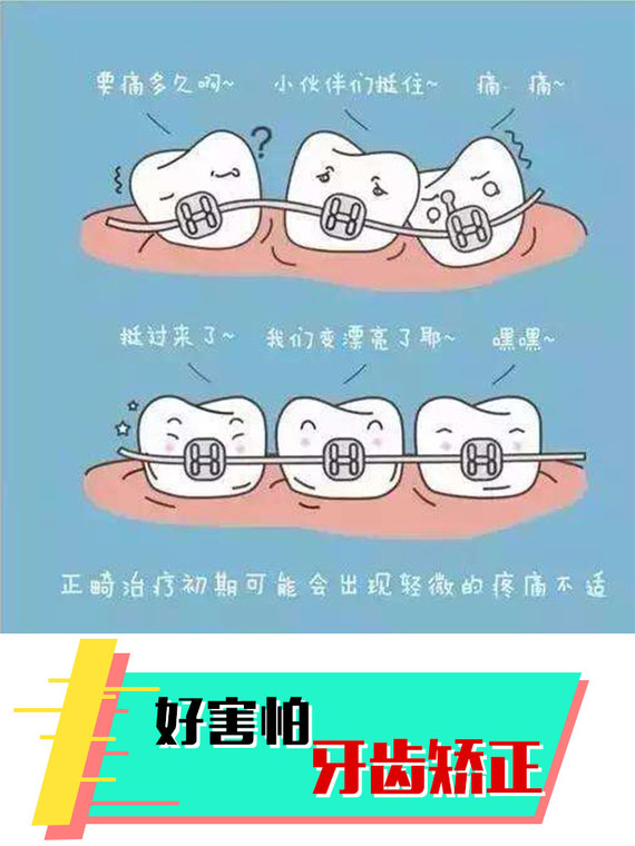 然后力量传递到牙根,作用于牙槽骨上,从而使牙齿慢慢移动