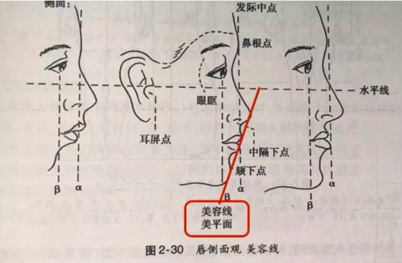 为什么有人嘴突好看有人就很丑?