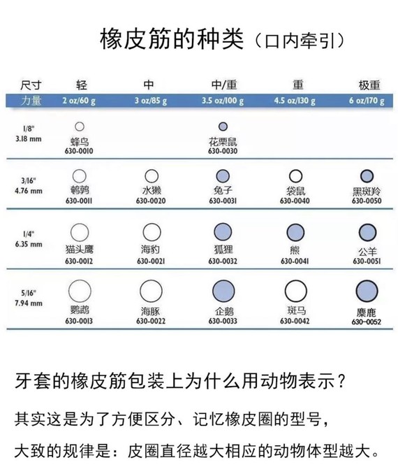 正畸橡皮圈也被大家称为挂皮筋,它是牙齿矫正期间辅助牙齿移动的工具