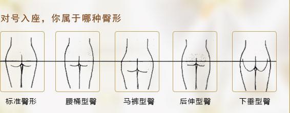 从脂肪堆积的角度,还可以把臀型划分成以下四种: 标准型:整个臀部