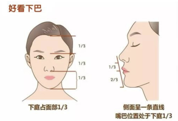 人脸部比例的三分之一,下巴作为脸上比较重要的一部分,一个好看的侧脸
