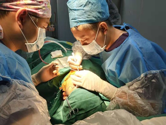 包括血常规加免疫四项,血压,耳软骨的检查;确定身体健康,无传染性疾病