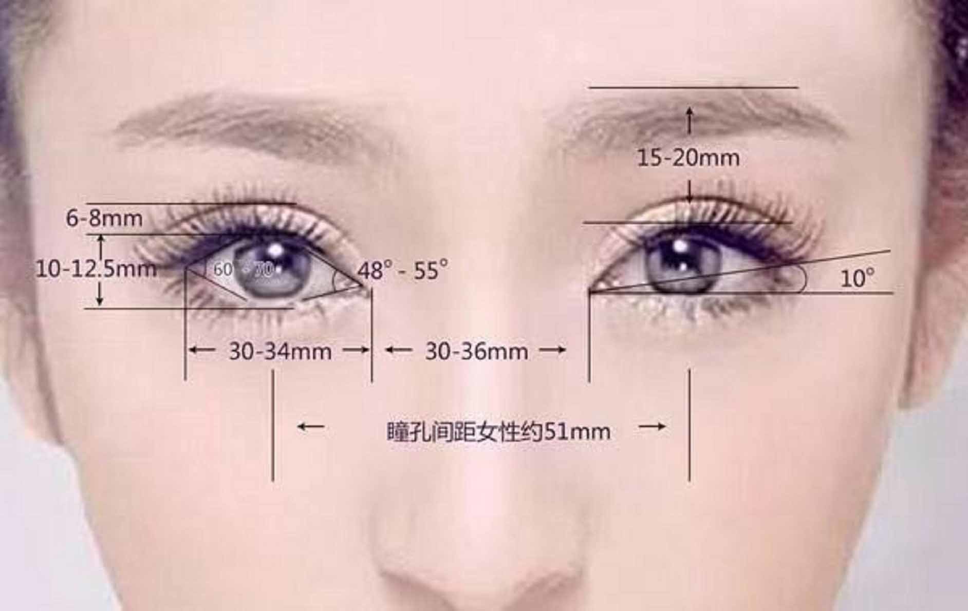 眼裂宽度:8mm  2. 眼裂长度:25mm  3. 内眦弧度:65°-68°  4.