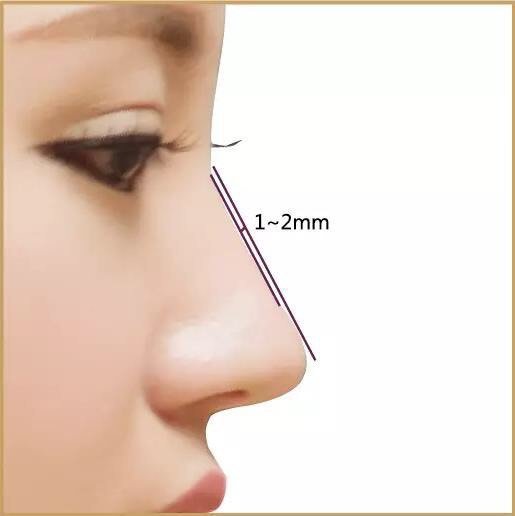 我们都想拥有一个漂亮的鼻子,可什么样的鼻子才算是漂亮的呢?