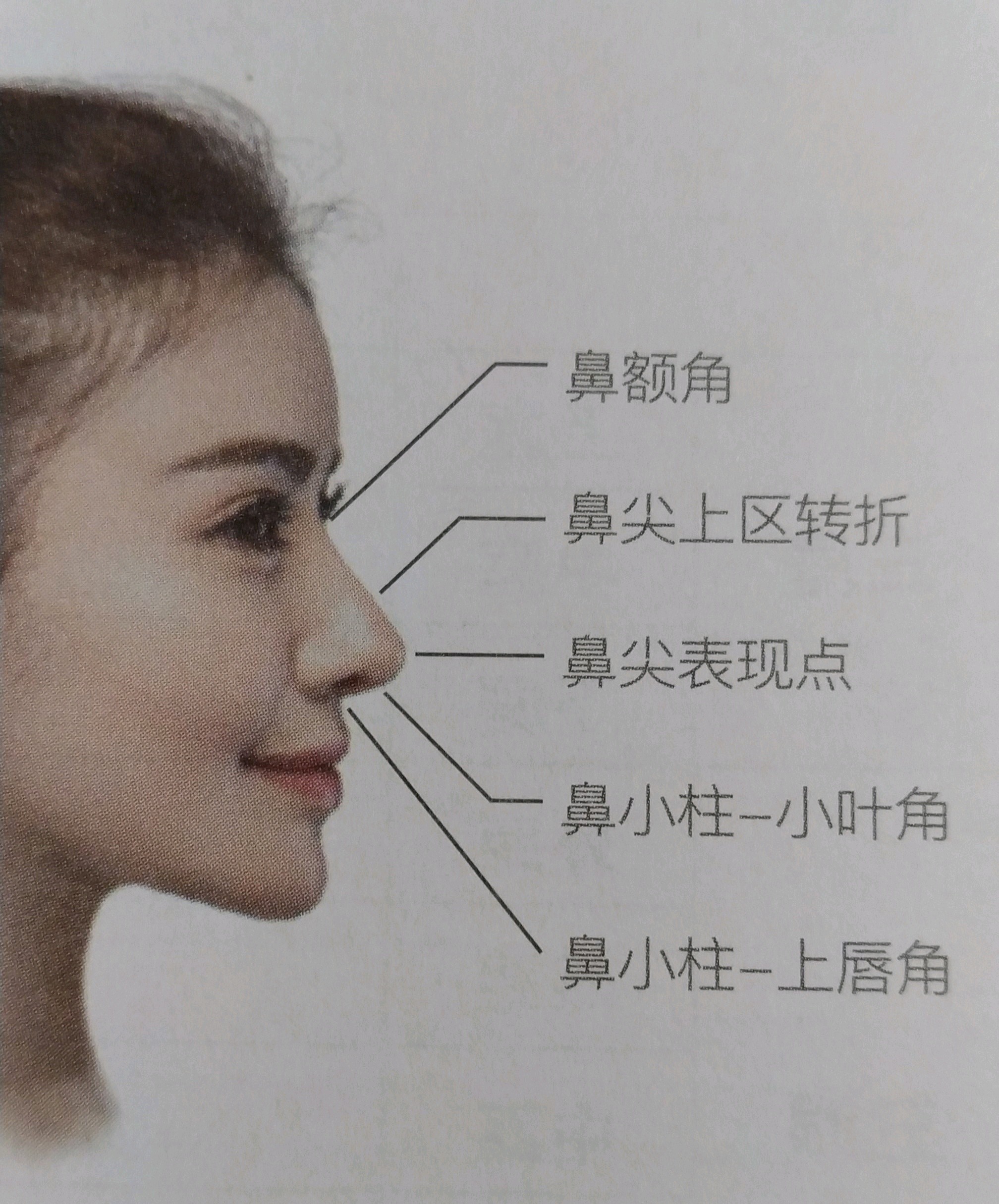 鼻子的手术要从哪方面去判断鼻子的形态和美感呢