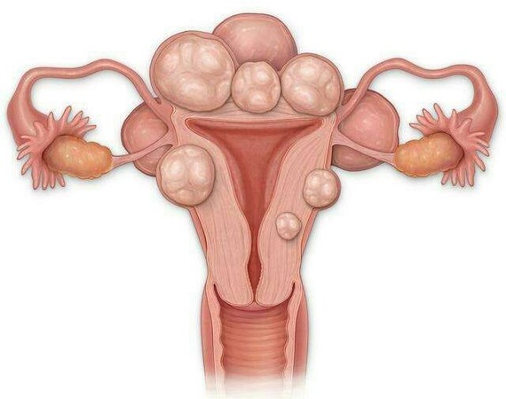 圈子-新氧美容整形