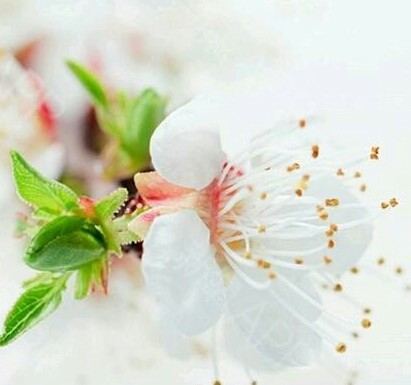 你好,盆腔积液的发病原因:1.生理性盆腔积液原