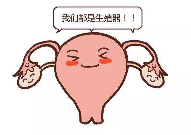 阴蒂有奇型,突出,象男子的阴茎,可以采取阴蒂有奇型,突出,可以手术吗?