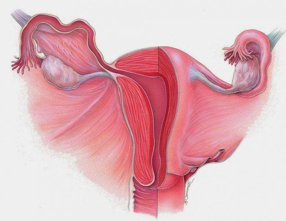 圈子-新氧美容整形