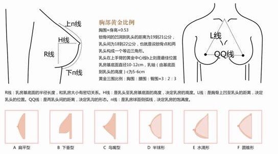 【美学标准】隆胸到底"多大"才完美