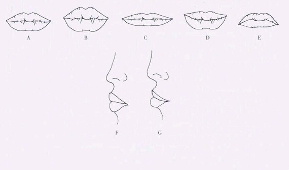 一,正位分类唇形3种: 1.