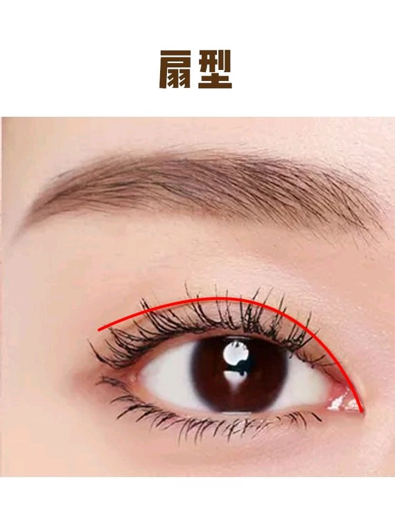 扇形双眼皮显得人秀气妩媚,灵气十足.