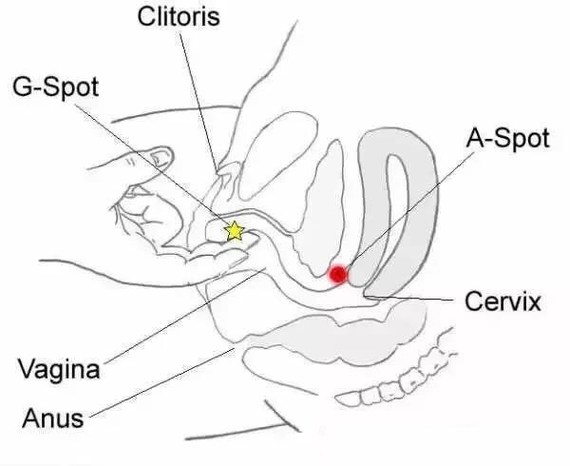 圈子-新氧美容整形