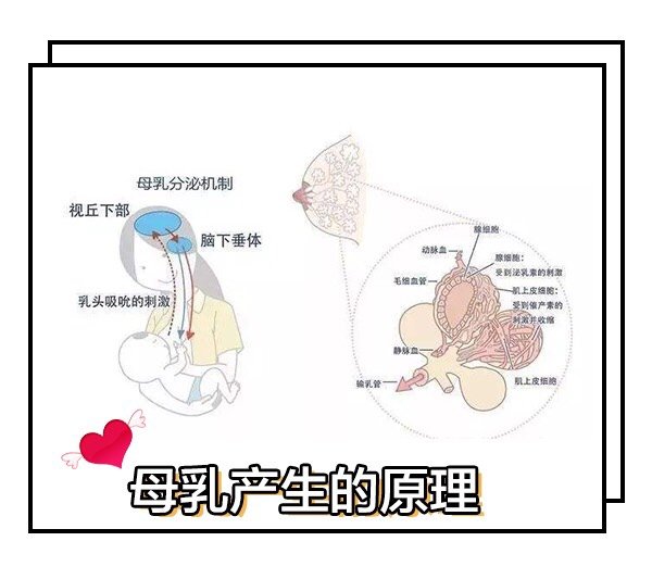 假体隆胸会不会阻碍乳汁分泌 新氧美容整形