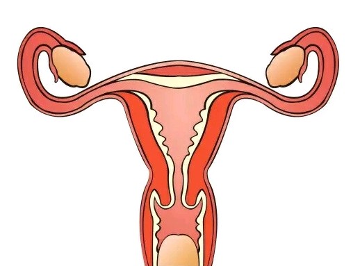 圈子-新氧美容整形