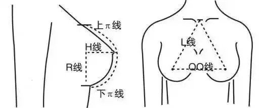 女人的胸部 怎么最美 标准是什么 新氧美容整形