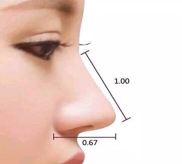 2,标准鼻线:一般不能低于9mm,女性一般为11mm,鼻尖和鼻梁突出1~2mm