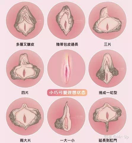 圈子-新氧美容整形