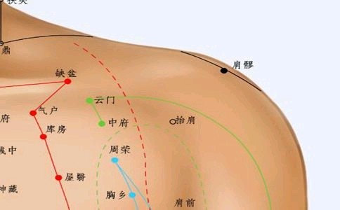 中医减肥 中医界有持中守一而医百病意思就是身