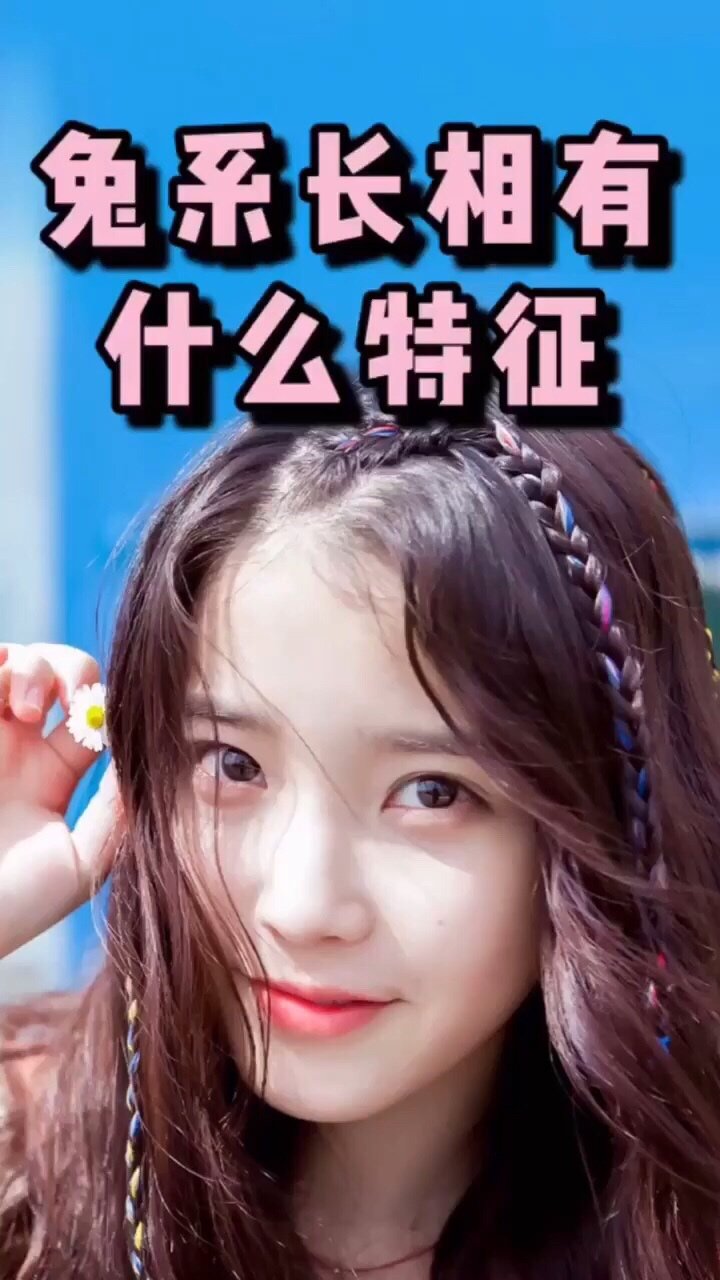 讨喜的兔系长相有啥特点