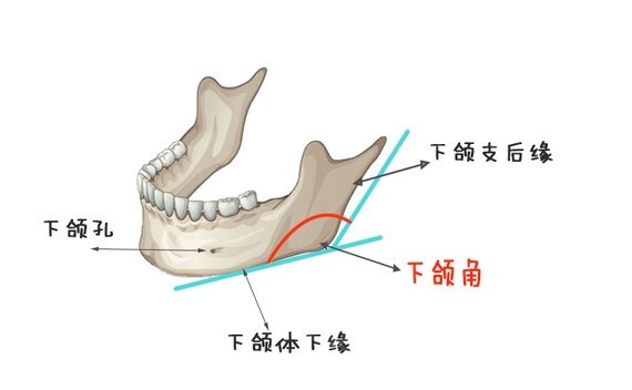 瘦脸的方法