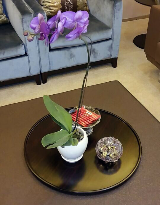 【玻尿酸】法思丽 法思丽 1ml ,【性价比玻尿酸】