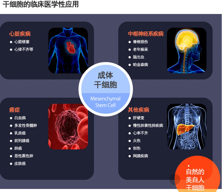 韓國美自人------幹細胞