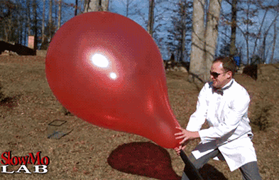 393_253gif 动态图 动图