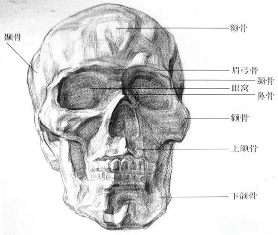 【知道什么是适合自己骨相的3d眉毛吗?这就教给你】